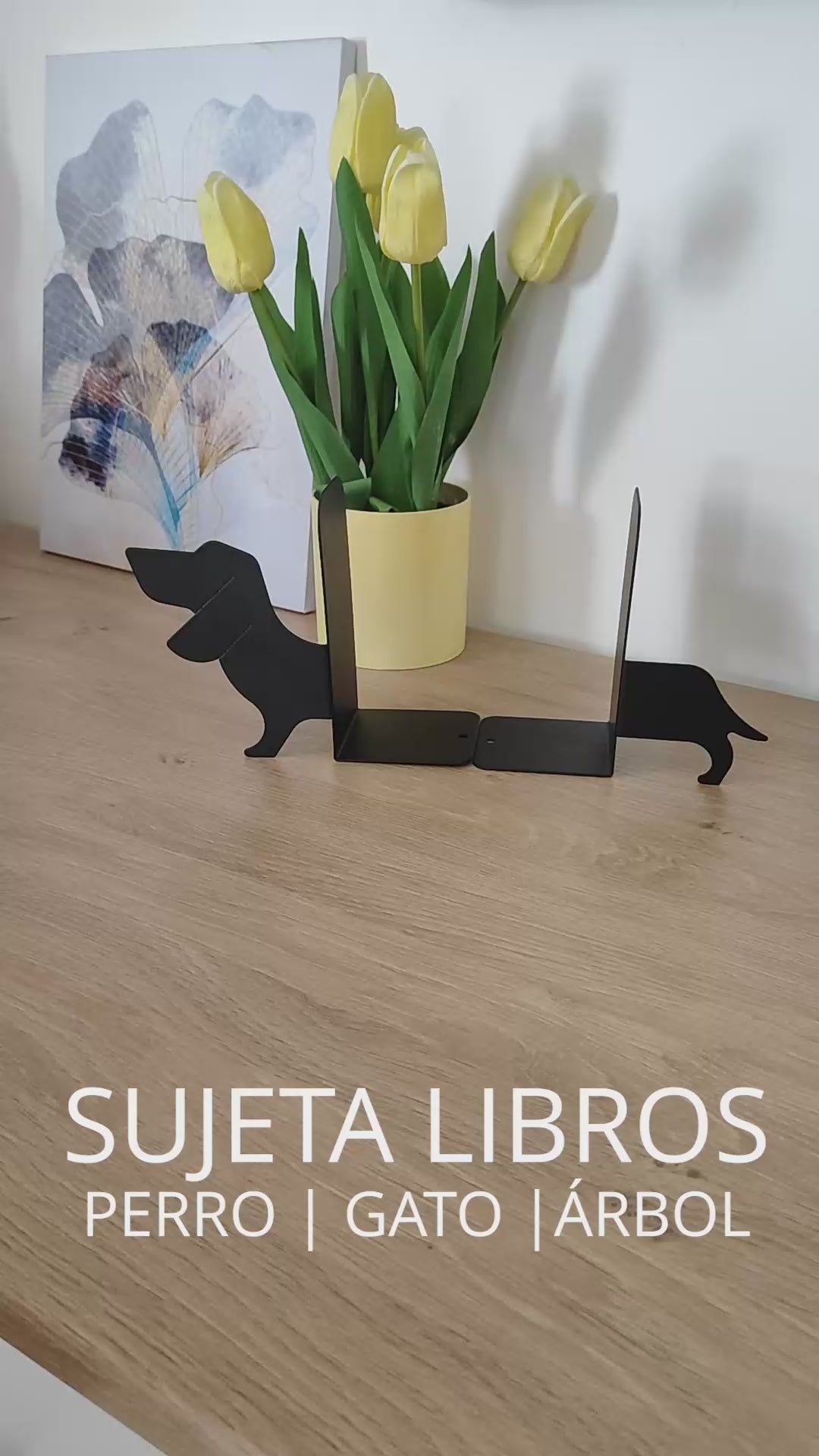 SUJETA LIBROS GATO NEGRO